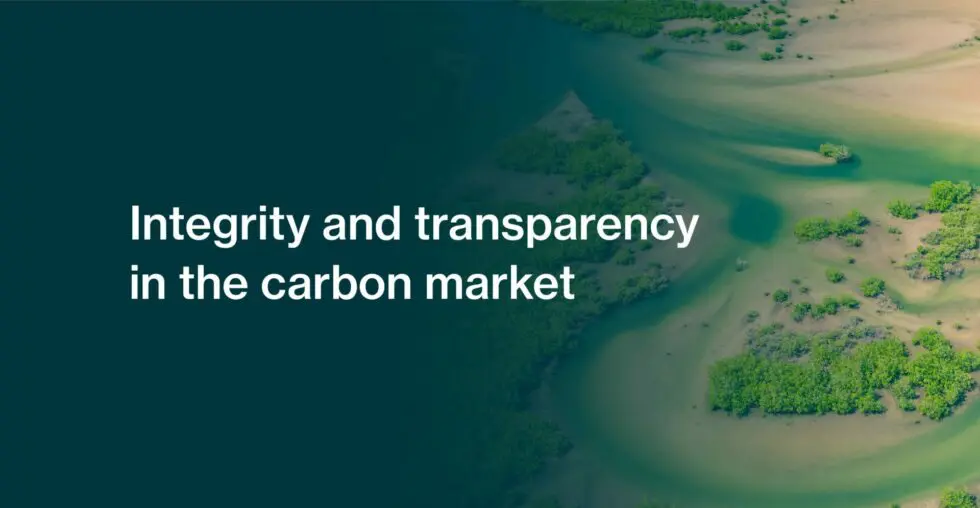 Integrity and transparency in the carbon market