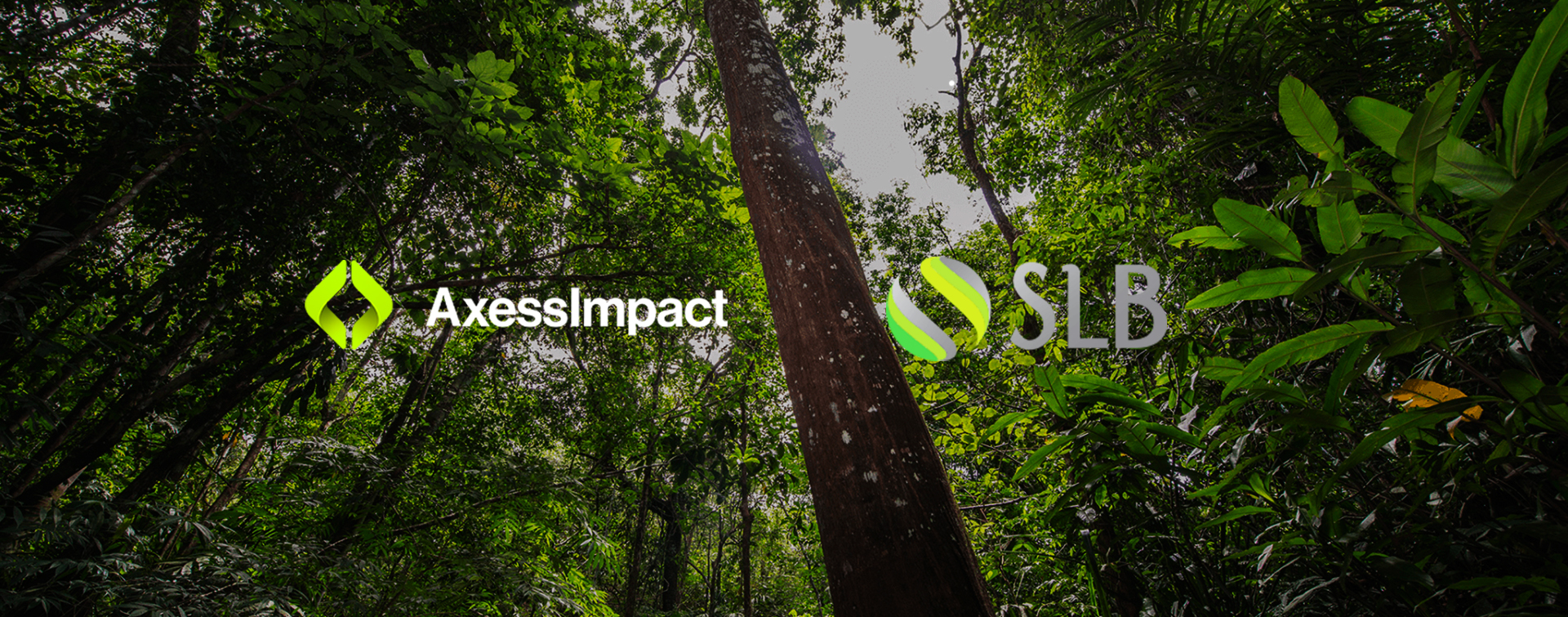 AxessImpact and SLB launch a new collaboration to advance investments in land restoration and biochar solutions